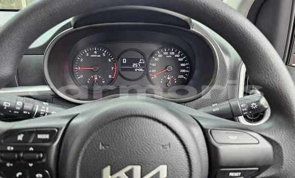 Buy Used Kia Picanto Red Car in Vacoas–Phoenix in Plaines Wilhems District Buy Used Kia Picanto Red Car in Vacoas–Phoenix in Plaines Wilhems District