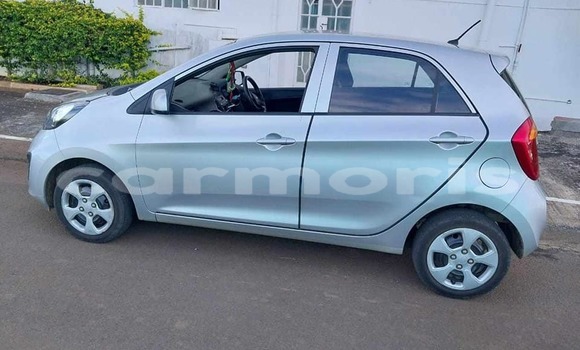 Buy Used Kia Picanto Other Car in Port Louis in Port Louis District Buy Used Kia Picanto Other Car in Port Louis in Port Louis District