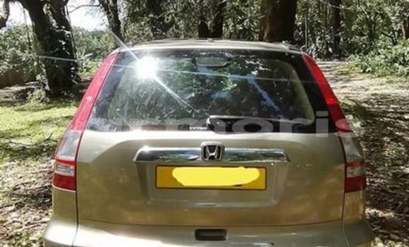 Buy Used Honda Accord Other Car in Port Louis in Port Louis District Buy Used Honda Accord Other Car in Port Louis in Port Louis District