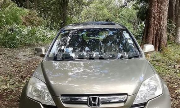 Buy Used Honda Accord Other Car in Port Louis in Port Louis District Buy Used Honda Accord Other Car in Port Louis in Port Louis District