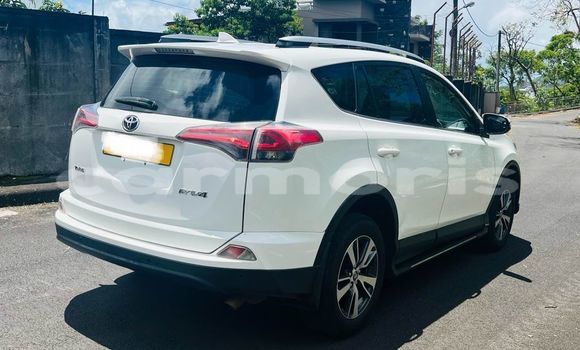 Buy Used Toyota RAV4 Other Car in Plaines des Papayes in Pamplempousses Buy Used Toyota RAV4 Other Car in Plaines des Papayes in Pamplempousses