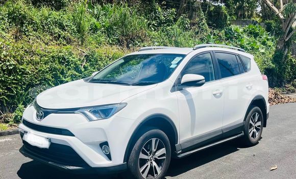 Buy Used Toyota RAV4 Other Car in Plaines des Papayes in Pamplempousses Buy Used Toyota RAV4 Other Car in Plaines des Papayes in Pamplempousses