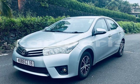 Buy Used Toyota Corolla Other Car in Moka in Moka Buy Used Toyota Corolla Other Car in Moka in Moka