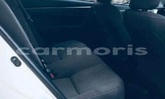 Buy Used Toyota Corolla Other Car in Moka in Moka Buy Used Toyota Corolla Other Car in Moka in Moka