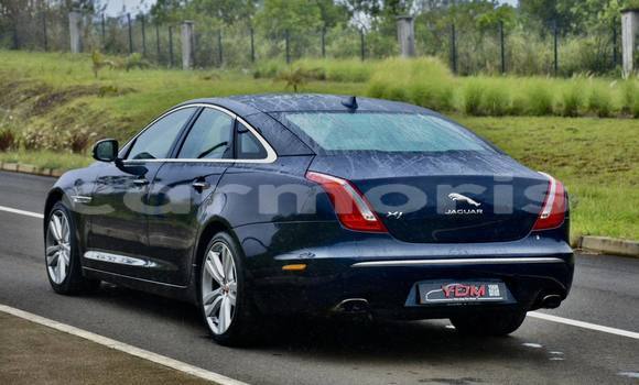 Buy Used Jaguar XJ Black Car in Arsenal in Pamplemousses District Buy Used Jaguar XJ Black Car in Arsenal in Pamplemousses District