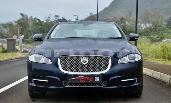 Buy Used Jaguar XJ Black Car in Arsenal in Pamplemousses District Buy Used Jaguar XJ Black Car in Arsenal in Pamplemousses District