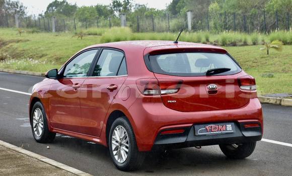 Buy Used Kia Rio Red Car in Arsenal in Pamplemousses District Buy Used Kia Rio Red Car in Arsenal in Pamplemousses District
