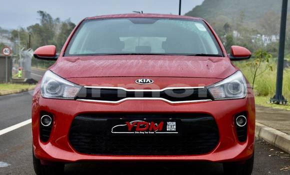Buy Used Kia Rio Red Car in Arsenal in Pamplemousses District Buy Used Kia Rio Red Car in Arsenal in Pamplemousses District