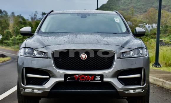 Buy Used Jaguar F-Pace Other Car in Anse La Raie in Rivière du Rempart District