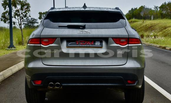 Buy Used Jaguar F-Pace Other Car in Anse La Raie in Rivière du Rempart District Buy Used Jaguar F-Pace Other Car in Anse La Raie in Rivière du Rempart District