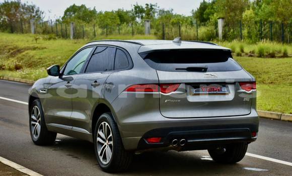 Buy Used Jaguar F-Pace Other Car in Anse La Raie in Rivière du Rempart District Buy Used Jaguar F-Pace Other Car in Anse La Raie in Rivière du Rempart District