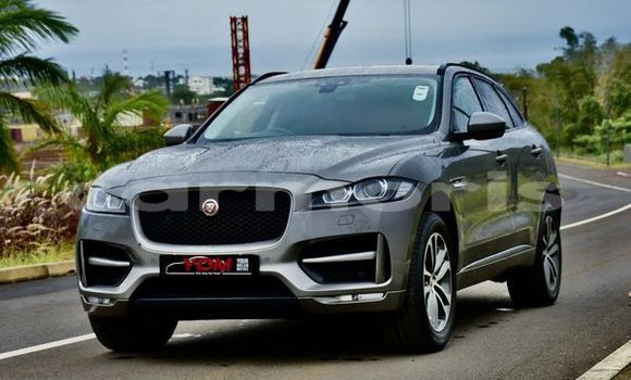Buy Used Jaguar F-Pace Other Car in Anse La Raie in Rivière du Rempart District Buy Used Jaguar F-Pace Other Car in Anse La Raie in Rivière du Rempart District