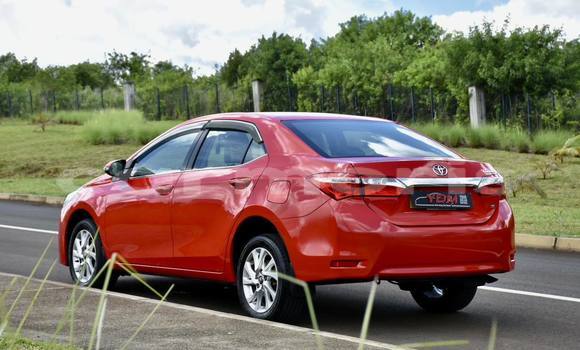 Buy Used Toyota Corolla Red Car in Amitié–Gokhoola in Rivière du Rempart District Buy Used Toyota Corolla Red Car in Amitié–Gokhoola in Rivière du Rempart District