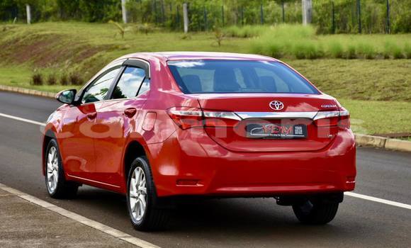 Buy Used Toyota Corolla Red Car in Amitié–Gokhoola in Rivière du Rempart District Buy Used Toyota Corolla Red Car in Amitié–Gokhoola in Rivière du Rempart District
