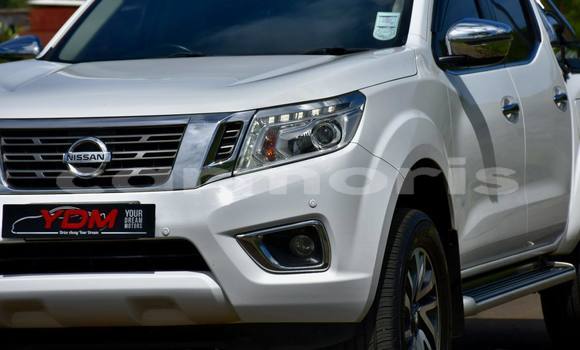 Buy Used Nissan Navara White Car in Arsenal in Pamplemousses District Buy Used Nissan Navara White Car in Arsenal in Pamplemousses District