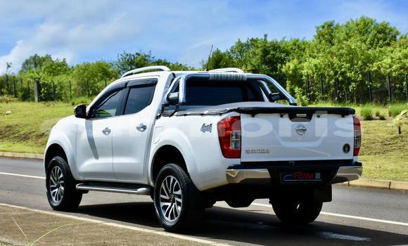 Buy Used Nissan Navara White Car in Arsenal in Pamplemousses District Buy Used Nissan Navara White Car in Arsenal in Pamplemousses District