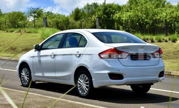 Buy Used Suzuki Ciaz White Car in Amaury in Rivière du Rempart District Buy Used Suzuki Ciaz White Car in Amaury in Rivière du Rempart District