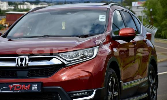 Buy Used Honda CR–V Red Car in Baie du Cap in Savanne District Buy Used Honda CR–V Red Car in Baie du Cap in Savanne District