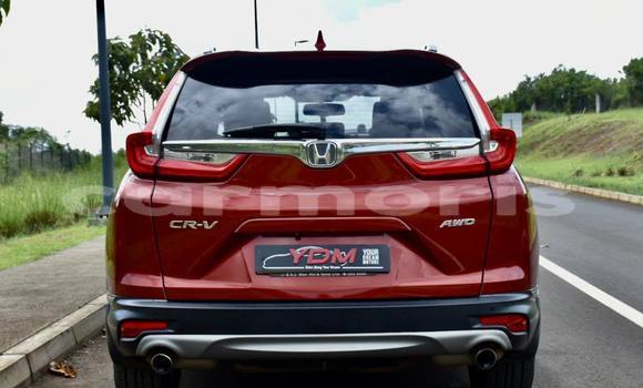 Buy Used Honda CR–V Red Car in Baie du Cap in Savanne District Buy Used Honda CR–V Red Car in Baie du Cap in Savanne District