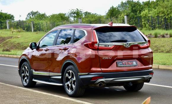 Buy Used Honda CR–V Red Car in Baie du Cap in Savanne District Buy Used Honda CR–V Red Car in Baie du Cap in Savanne District