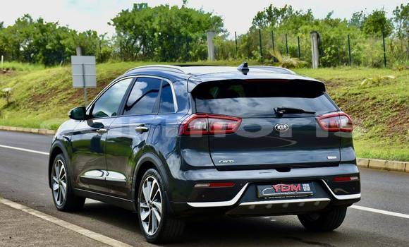 Buy Used Kia Rio Black Car in Arsenal in Pamplemousses District Buy Used Kia Rio Black Car in Arsenal in Pamplemousses District