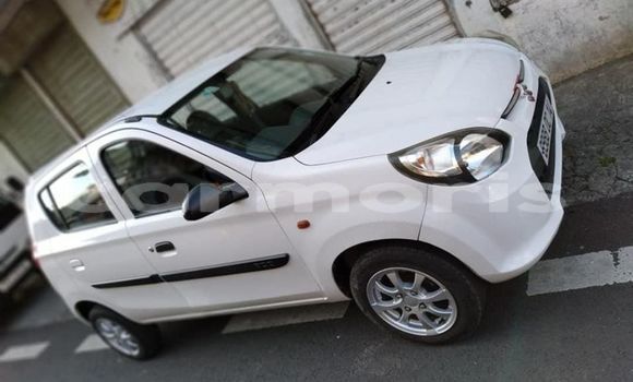 Buy Used Suzuki Alto Other Car in Baie du Cap in Savanne District Buy Used Suzuki Alto Other Car in Baie du Cap in Savanne District