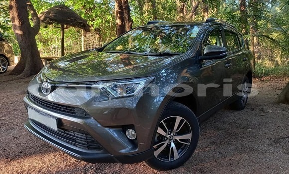 Buy Used Toyota RAV4 Other Car in Amaury in Rivière du Rempart District Buy Used Toyota RAV4 Other Car in Amaury in Rivière du Rempart District