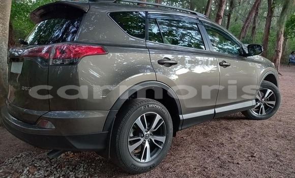 Buy Used Toyota RAV4 Other Car in Amaury in Rivière du Rempart District Buy Used Toyota RAV4 Other Car in Amaury in Rivière du Rempart District