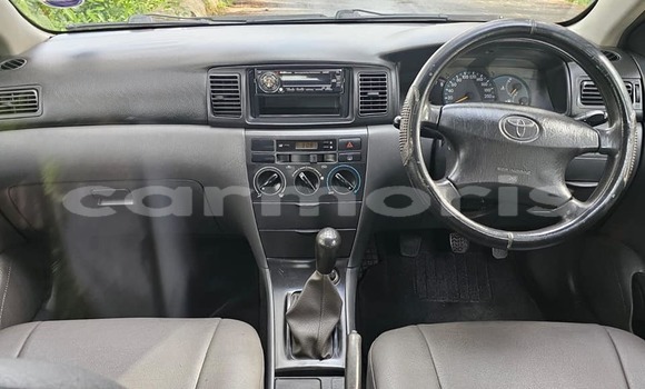 Buy Used Toyota Nadia Other Car in Anse La Raie in Rivière du Rempart District Buy Used Toyota Nadia Other Car in Anse La Raie in Rivière du Rempart District