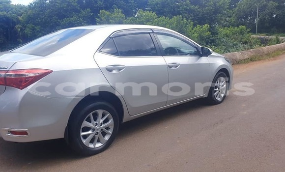 Buy Used Toyota Corolla Black Car in Anse La Raie in Rivière du Rempart District Buy Used Toyota Corolla Black Car in Anse La Raie in Rivière du Rempart District