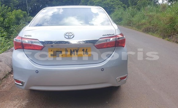 Buy Used Toyota Corolla Black Car in Anse La Raie in Rivière du Rempart District Buy Used Toyota Corolla Black Car in Anse La Raie in Rivière du Rempart District