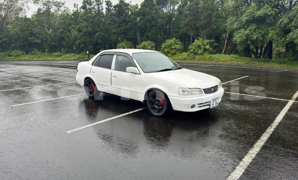 Buy Used Toyota Alphard Other Car in Port Louis in Port Louis District