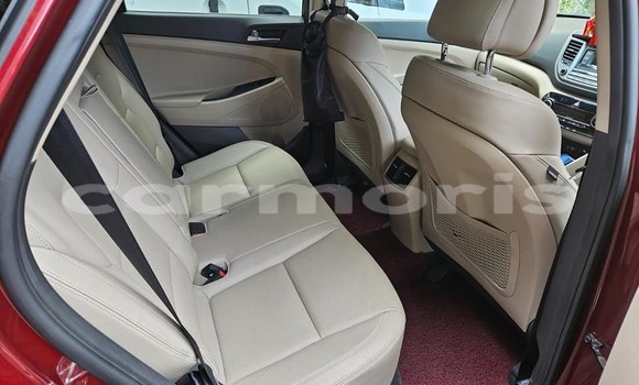 Buy Used Hyundai Tucson Other Car in Port Louis in Port Louis District Buy Used Hyundai Tucson Other Car in Port Louis in Port Louis District