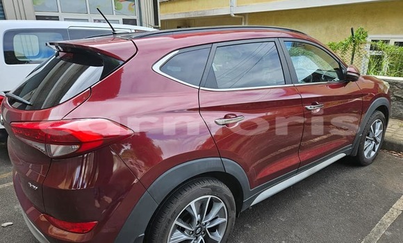 Buy Used Hyundai Tucson Other Car in Port Louis in Port Louis District Buy Used Hyundai Tucson Other Car in Port Louis in Port Louis District