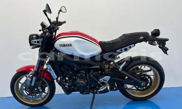 Buy Used Yamaha XSR Red Bike in Port Louis in Port Louis District