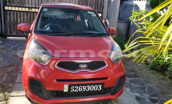 Buy Used Kia Picanto Red Car in Anse La Raie in Rivière du Rempart District Buy Used Kia Picanto Red Car in Anse La Raie in Rivière du Rempart District