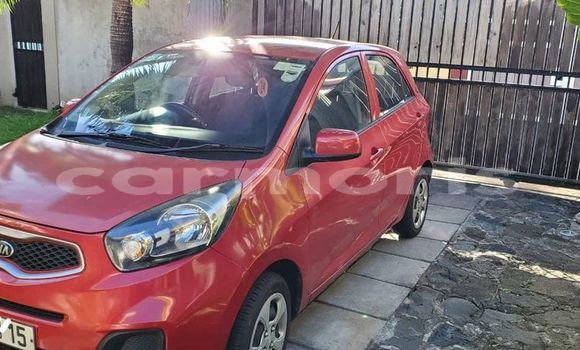 Buy Used Kia Picanto Red Car in Anse La Raie in Rivière du Rempart District Buy Used Kia Picanto Red Car in Anse La Raie in Rivière du Rempart District