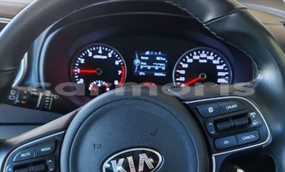 Buy Used Kia Sportage Other Car in Curepipe in Plaines Wilhems District Buy Used Kia Sportage Other Car in Curepipe in Plaines Wilhems District