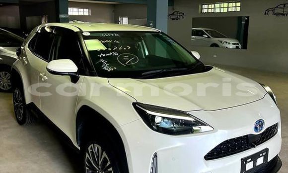 Buy Used Toyota Yaris Other Car in Curepipe in Plaines Wilhems District Buy Used Toyota Yaris Other Car in Curepipe in Plaines Wilhems District