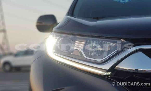 Buy Import Honda C Other Bike in Import - Dubai in Agalega Islands Buy Import Honda C Other Bike in Import - Dubai in Agalega Islands