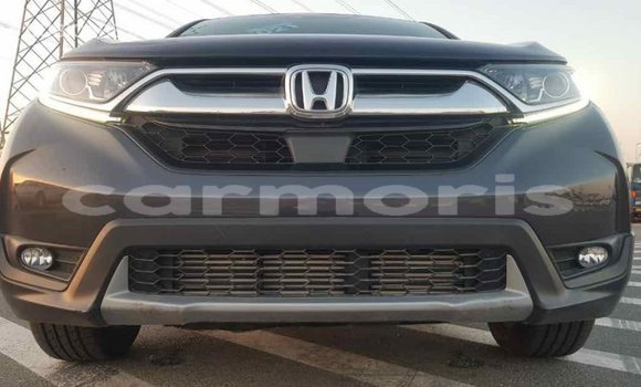 Buy Import Honda C Other Bike in Import - Dubai in Agalega Islands Buy Import Honda C Other Bike in Import - Dubai in Agalega Islands