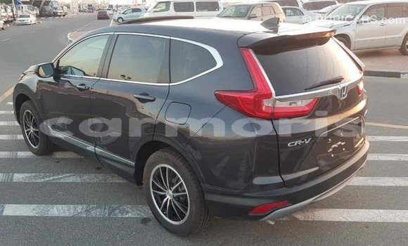 Buy Import Honda C Other Bike in Import - Dubai in Agalega Islands Buy Import Honda C Other Bike in Import - Dubai in Agalega Islands