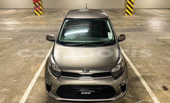 Buy Used Kia Picanto Other Car in Anse La Raie in Rivière du Rempart District Buy Used Kia Picanto Other Car in Anse La Raie in Rivière du Rempart District