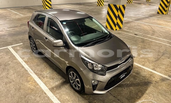 Buy Used Kia Picanto Other Car in Anse La Raie in Rivière du Rempart District Buy Used Kia Picanto Other Car in Anse La Raie in Rivière du Rempart District