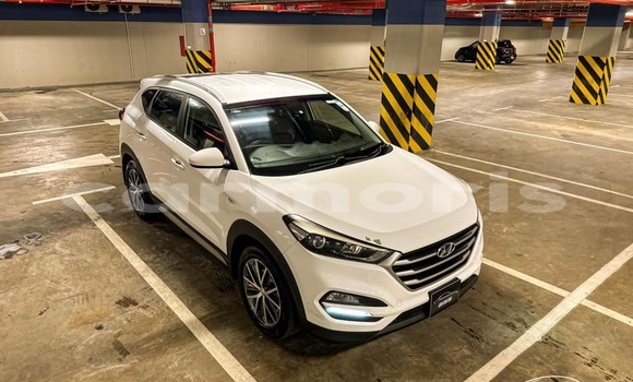 Buy Used Hyundai Tucson White Car in Baie du Cap in Savanne District