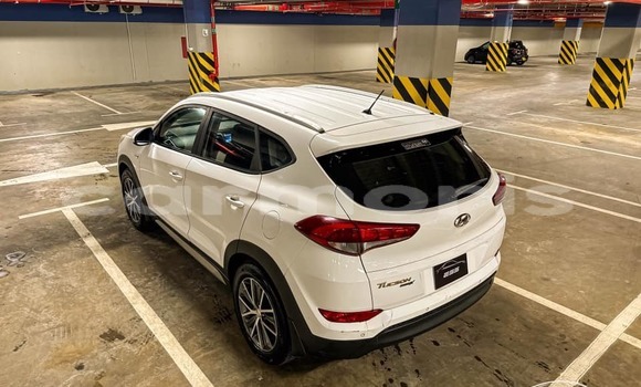 Buy Used Hyundai Tucson White Car in Baie du Cap in Savanne District Buy Used Hyundai Tucson White Car in Baie du Cap in Savanne District