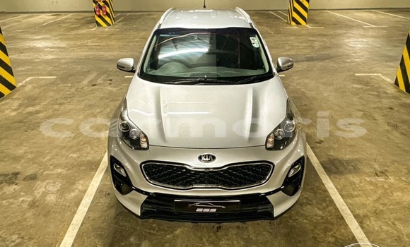Buy Used Kia Sportage White Car in Arsenal in Pamplemousses District Buy Used Kia Sportage White Car in Arsenal in Pamplemousses District