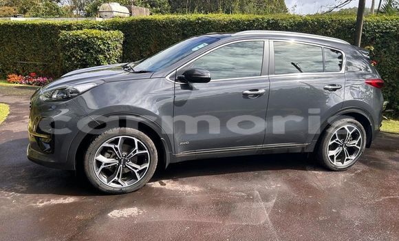 Buy Used Kia Sportage Other Car in Amaury in Rivière du Rempart District Buy Used Kia Sportage Other Car in Amaury in Rivière du Rempart District