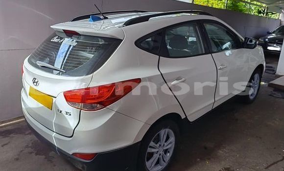 Buy Used Hyundai XG Other Car in Amaury in Rivière du Rempart District Buy Used Hyundai XG Other Car in Amaury in Rivière du Rempart District