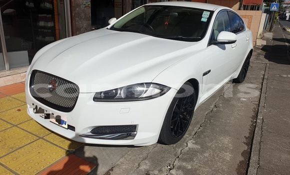 Buy Used Jaguar XE Other Car in Baie du Cap in Savanne District Buy Used Jaguar XE Other Car in Baie du Cap in Savanne District